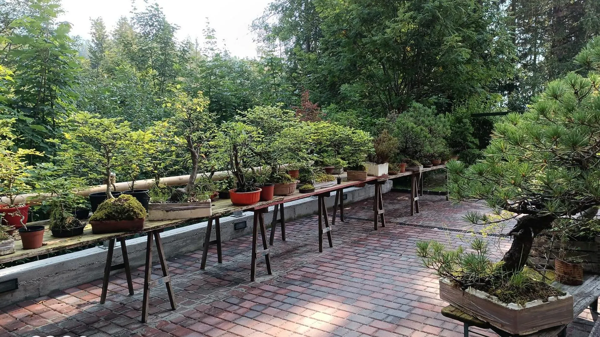 Park Hotel Arnica Falcade